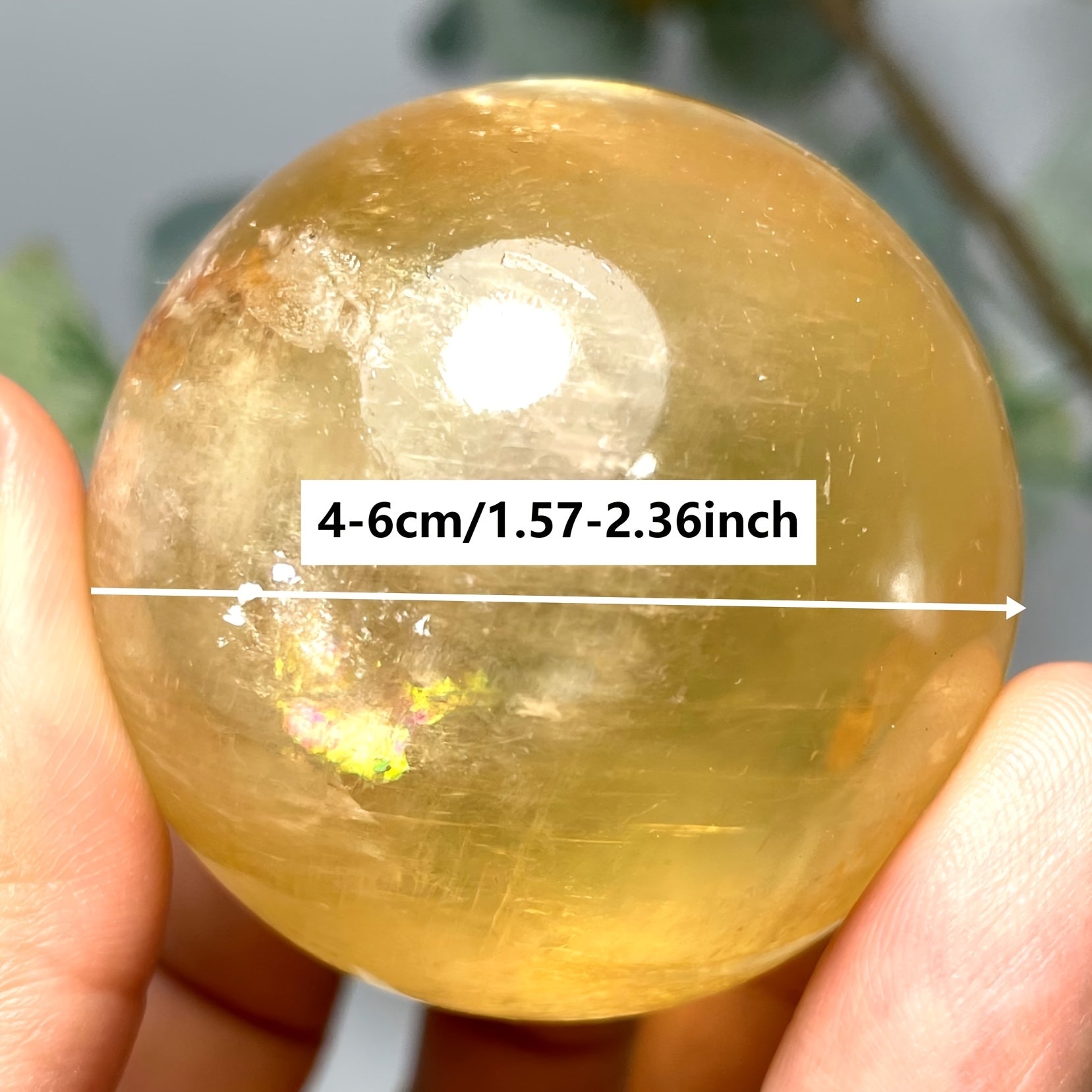 img_5595040