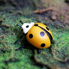 Realistic Ladybug Growth Cycle Model Toy Educational Teaching Aid
