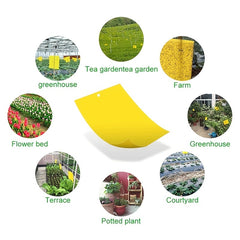20pcs Armyworm Board Insect Trap for Garden