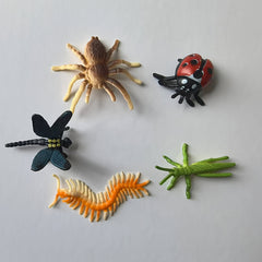 Colorful Insect Models 12pcs Spider Ladybug Beetle Ornaments