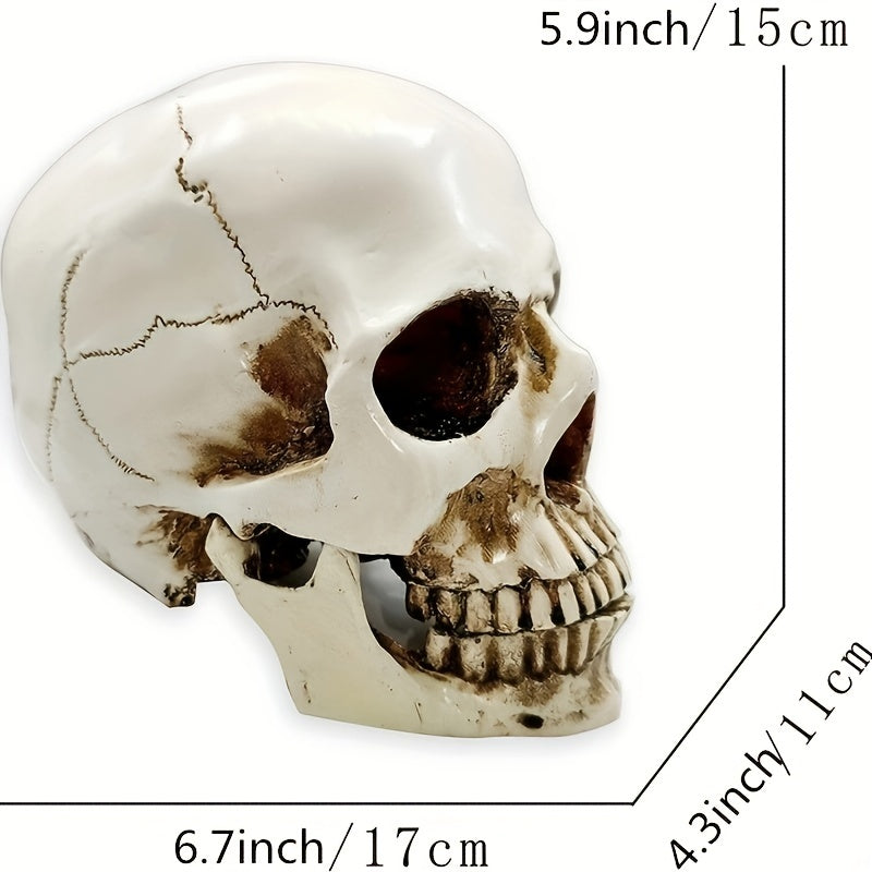 1pc Resin Skull Model Creative Halloween Ornaments