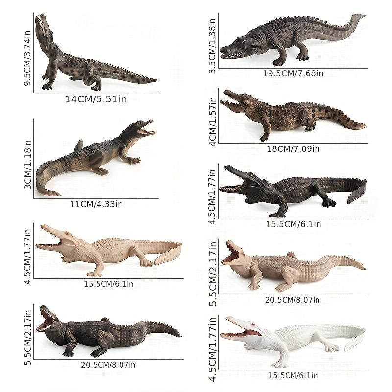 Crocodile Model Set for Enthusiasts