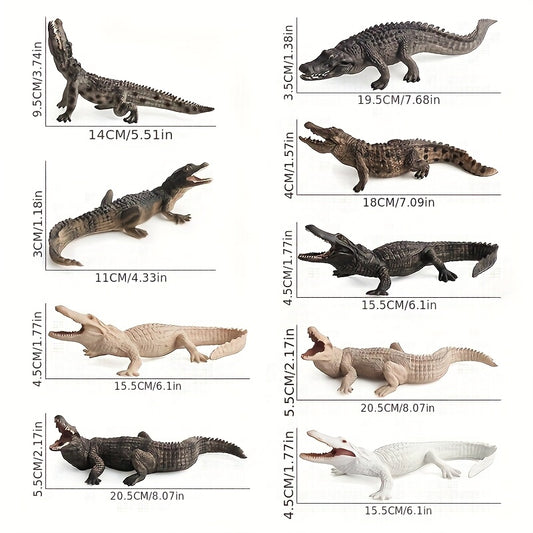 Crocodile Model Set for Enthusiasts
