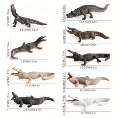 Crocodile Model Set for Enthusiasts