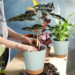 Green Self-Watering Plant Pots Plastic Planters Deep Reservoir