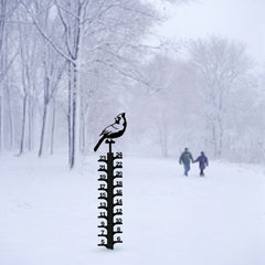 Metal Snow Gauge Large Snowfall Measuring Tool Winter Bird Shape Iron