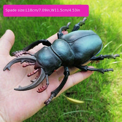 Insect Model Toy for Early Education