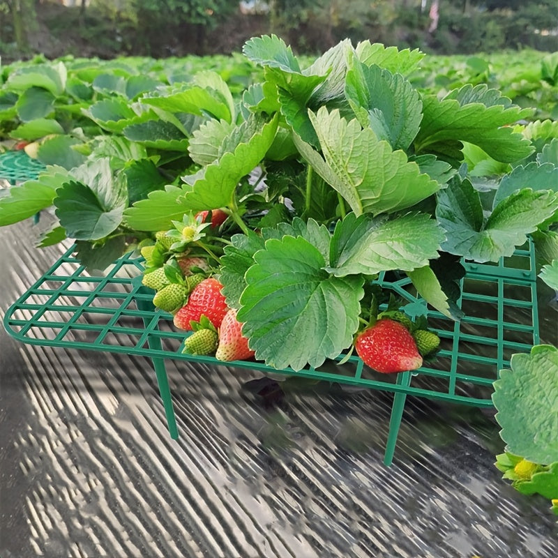 Rectangular Strawberry Support Plant Holder for Growth and Protection