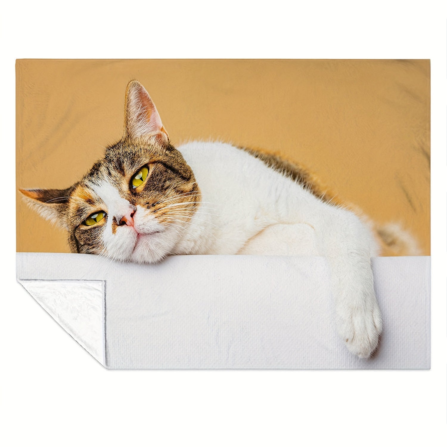 Kitten Flannel Blanket Soft Plush Fluffy Warm Cozy Blanket