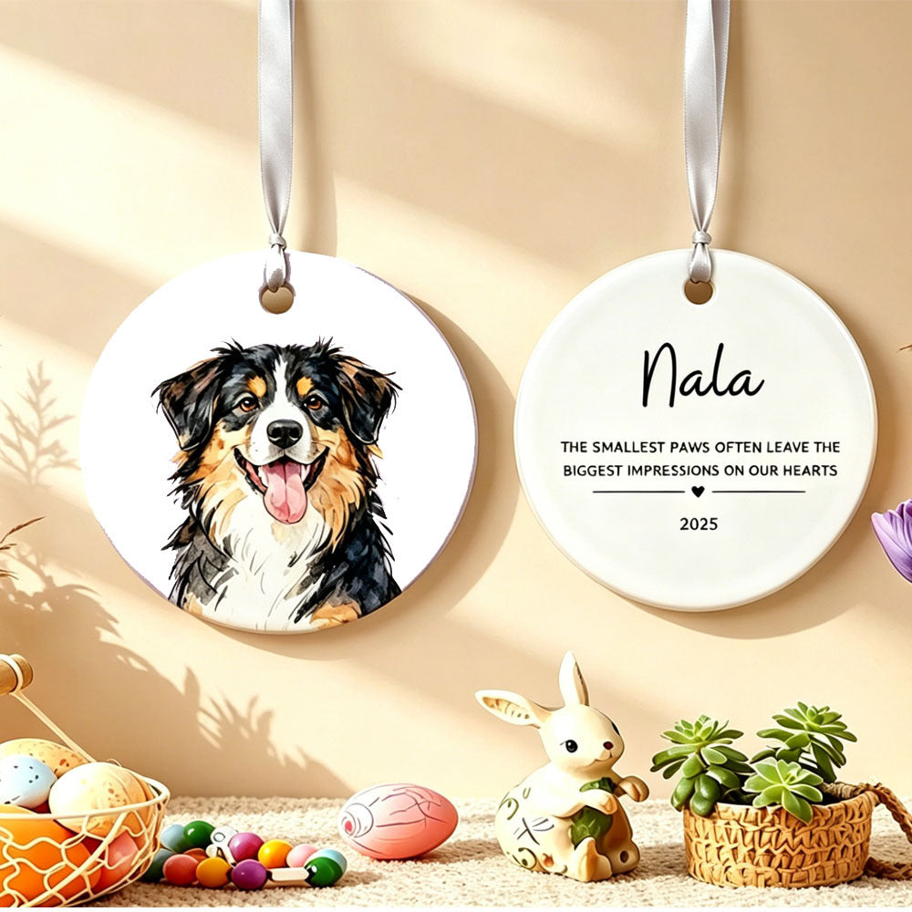 img_5280884