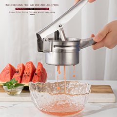 Stainless Steel Chip Maker for Fruit Juicing & Garlic Smashing
