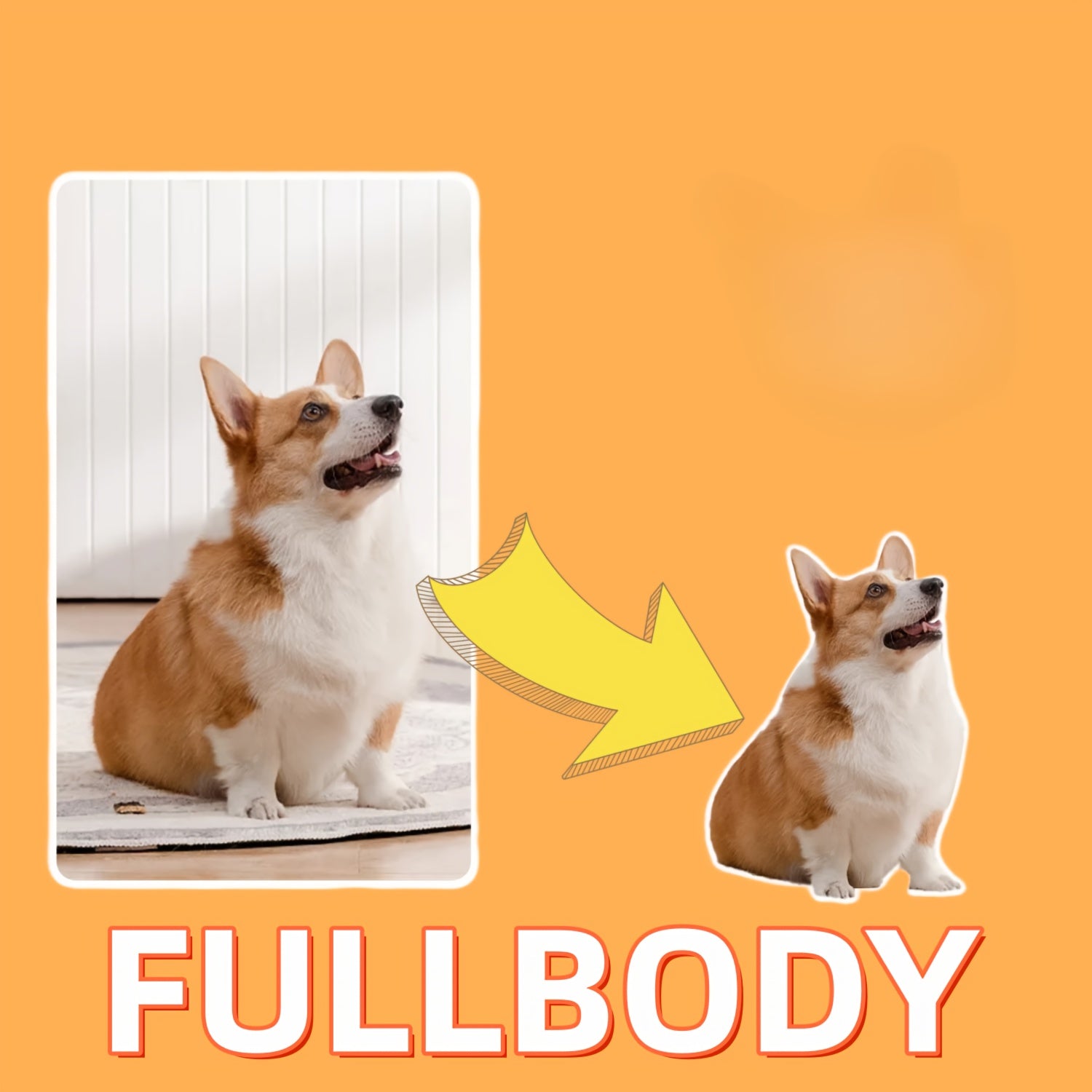 img_5163355