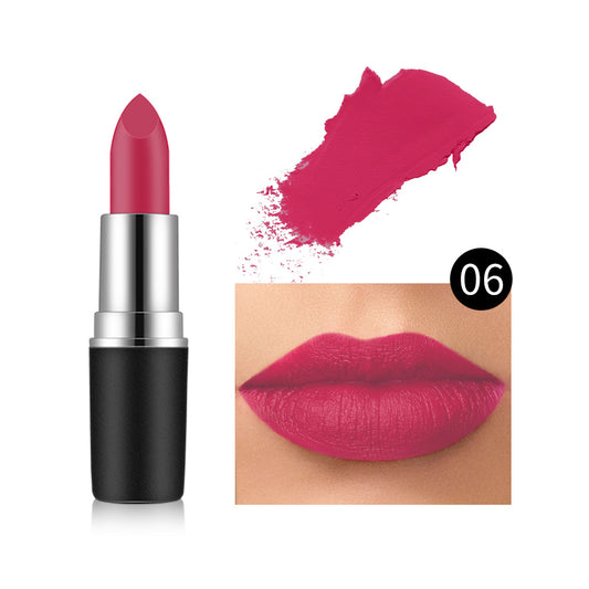 VIBELY Matte Lipstick Long Lasting Non Fading Formula