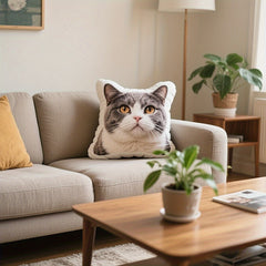 img_5197668
