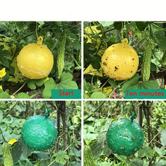 1pc Pumpkin Sticky Fly Trap Ball - Outdoor Pest Control