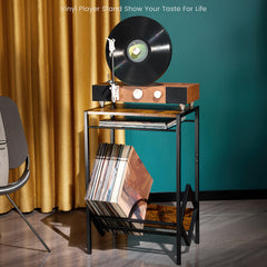 2 Tier Iron Bookshelf & Record Storage