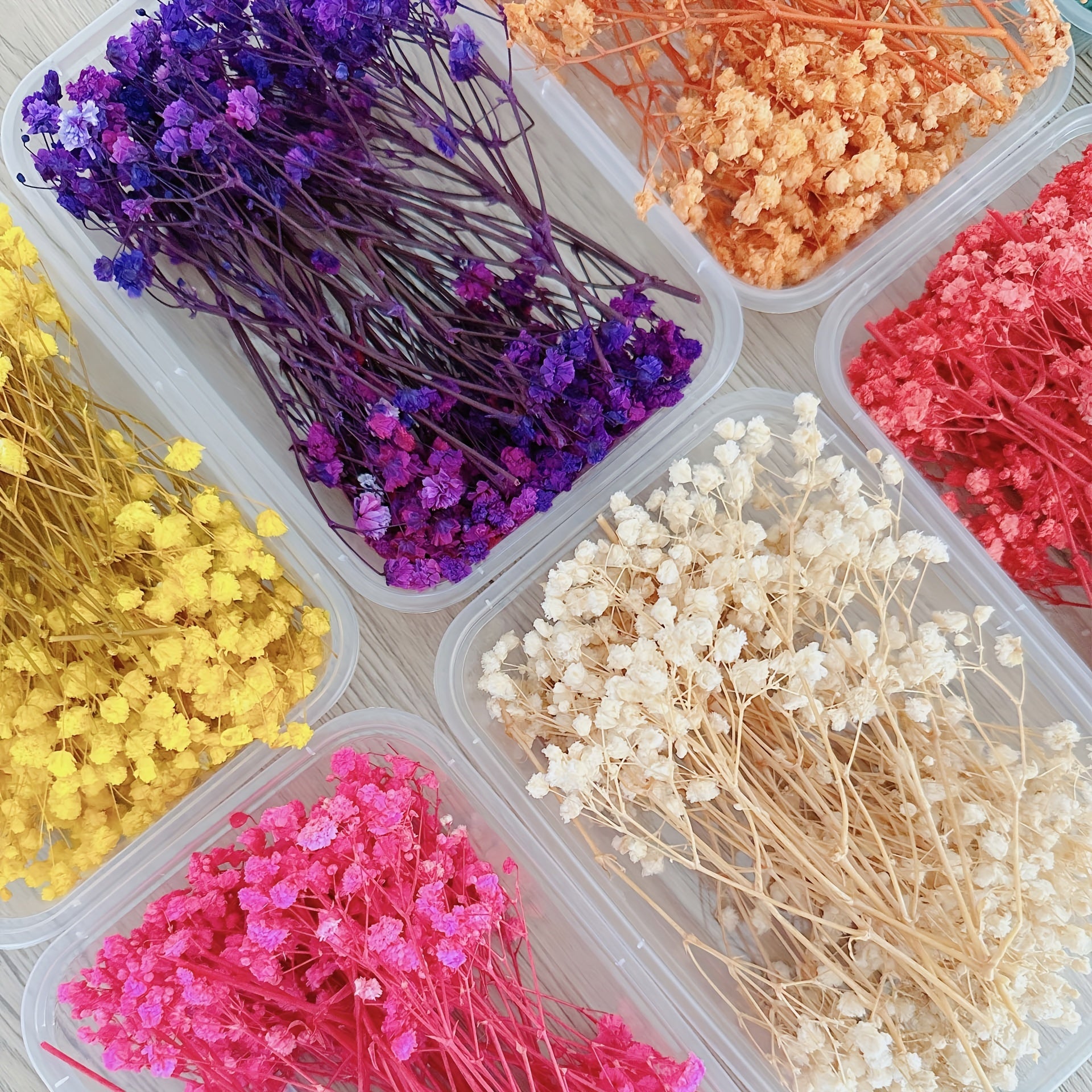 Dried Flower Bouquet Set - Real Naturally Dried Flowers for DIY Crafts