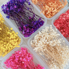 Dried Flower Bouquet Set - Real Naturally Dried Flowers for DIY Crafts