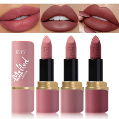 Matte Velvet Lipstick Waterproof Long Lasting Lip Gloss