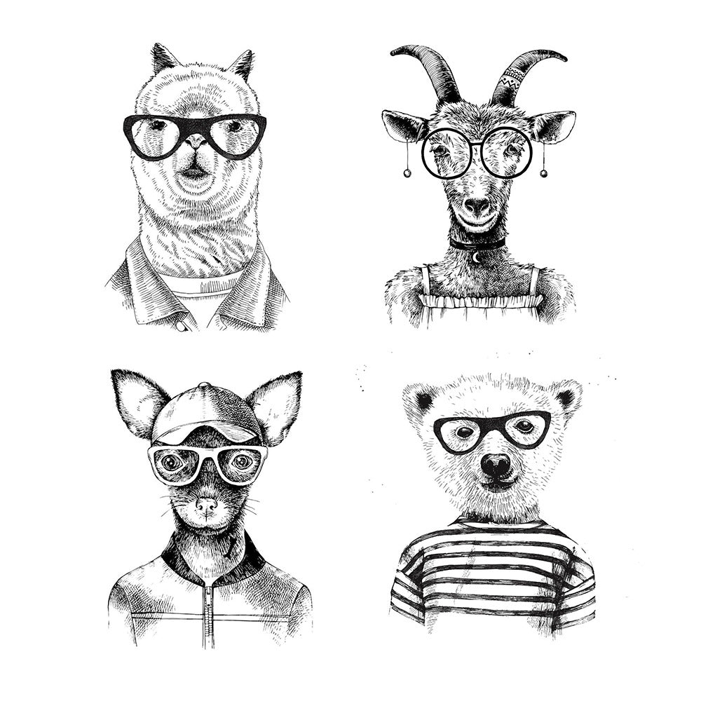 Animal Cat Mouse Rabbit Portrait Clear Stamps Scrapbooking Card Making