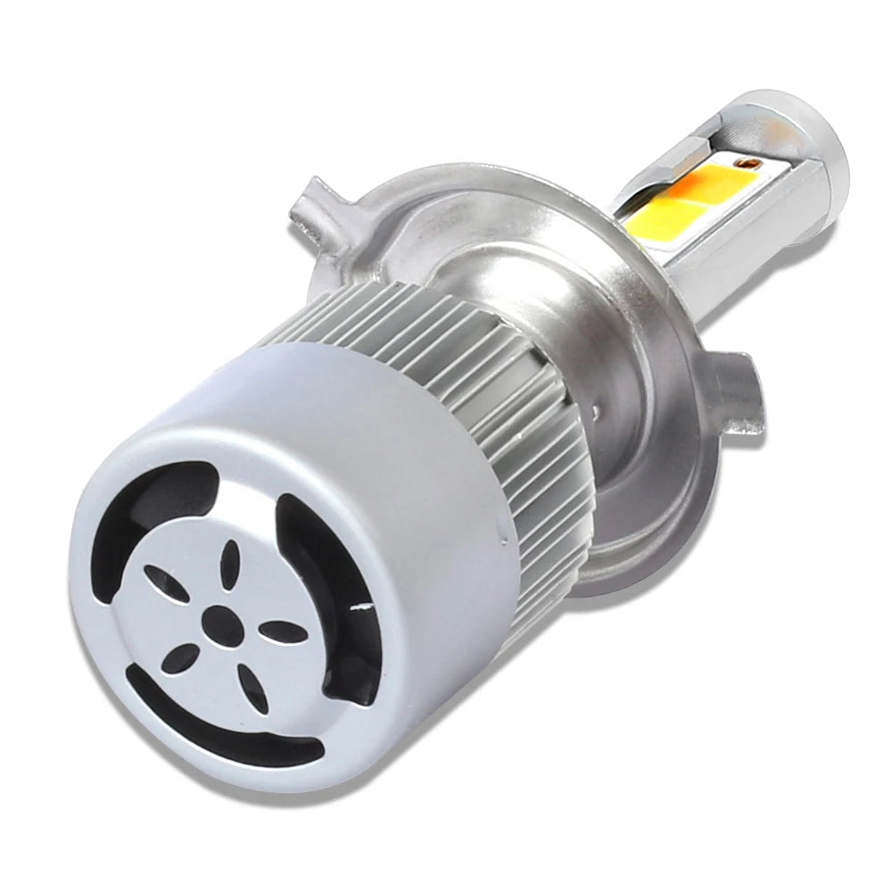 img_51311