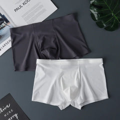 img_2576374