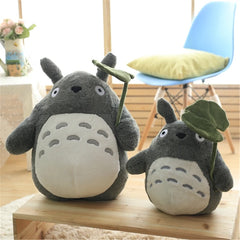 img_4996016