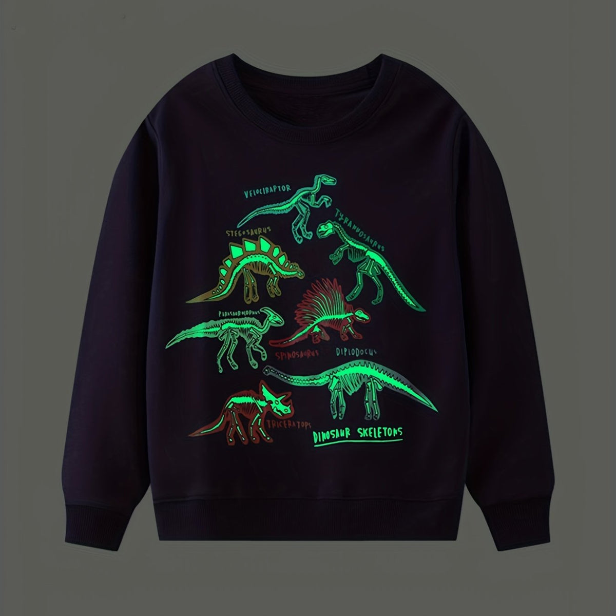 Luminous Dinosaur Print Boys Sweatshirt Crew Neck Tops