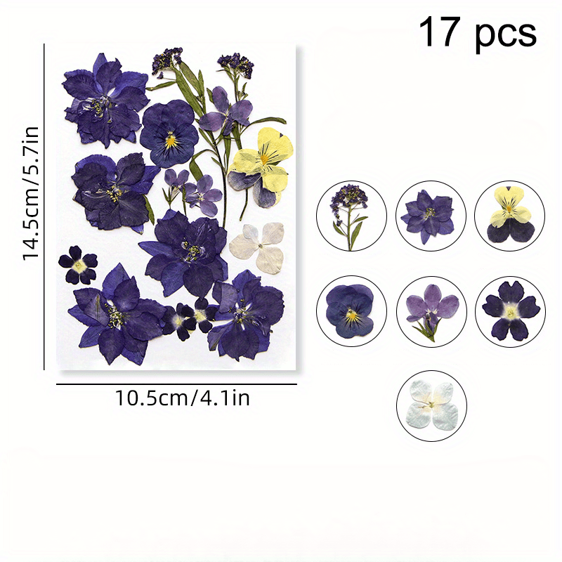 DIY Pressed Flowers Kit - Create Unique Crafts with 19pcs Dried Flowers