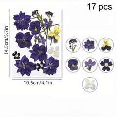 DIY Pressed Flowers Kit - Create Unique Crafts with 19pcs Dried Flowers