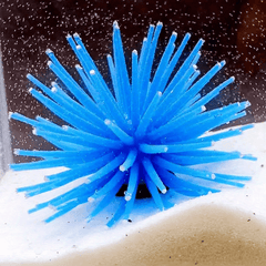 Realistic Artificial Sea Urchin for Aquarium Decor