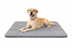img_16019821