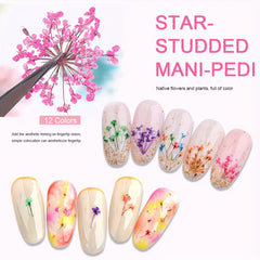 Dried Flowers Nail Art Decorations Natural Floral Plant Non F