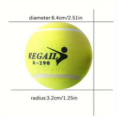 Low Pressure Tennis Balls for Training Practice on All Courts