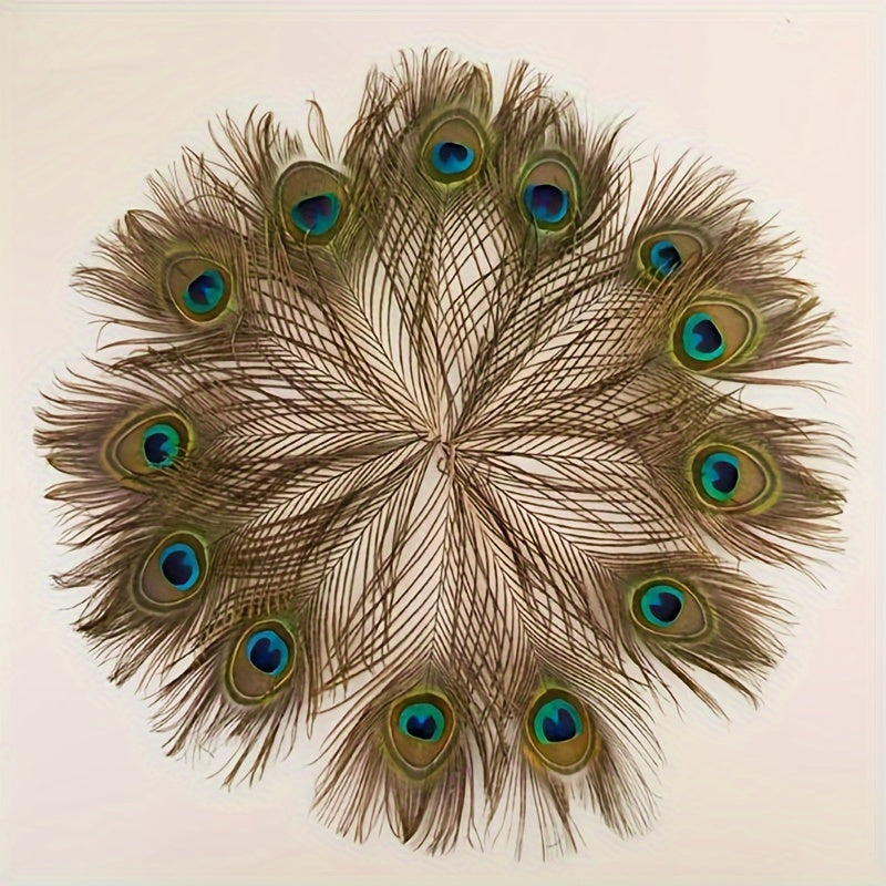 15pcs Peacock Eye Feathers 25-30-48 Cm Holiday Party Table Decorations