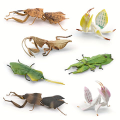 Insect Animal Models Educational Toys
