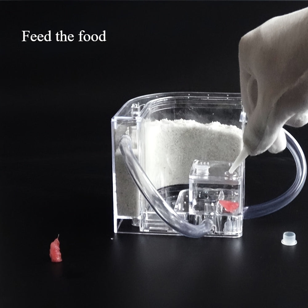 Educational Ant Farm Kit with PVC Habitat