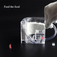 Educational Ant Farm Kit with PVC Habitat