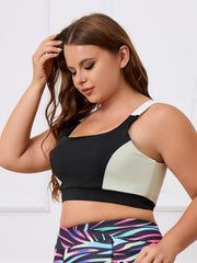  Colorblock Padded Seamless Sports Bra
