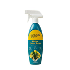 img_15937879