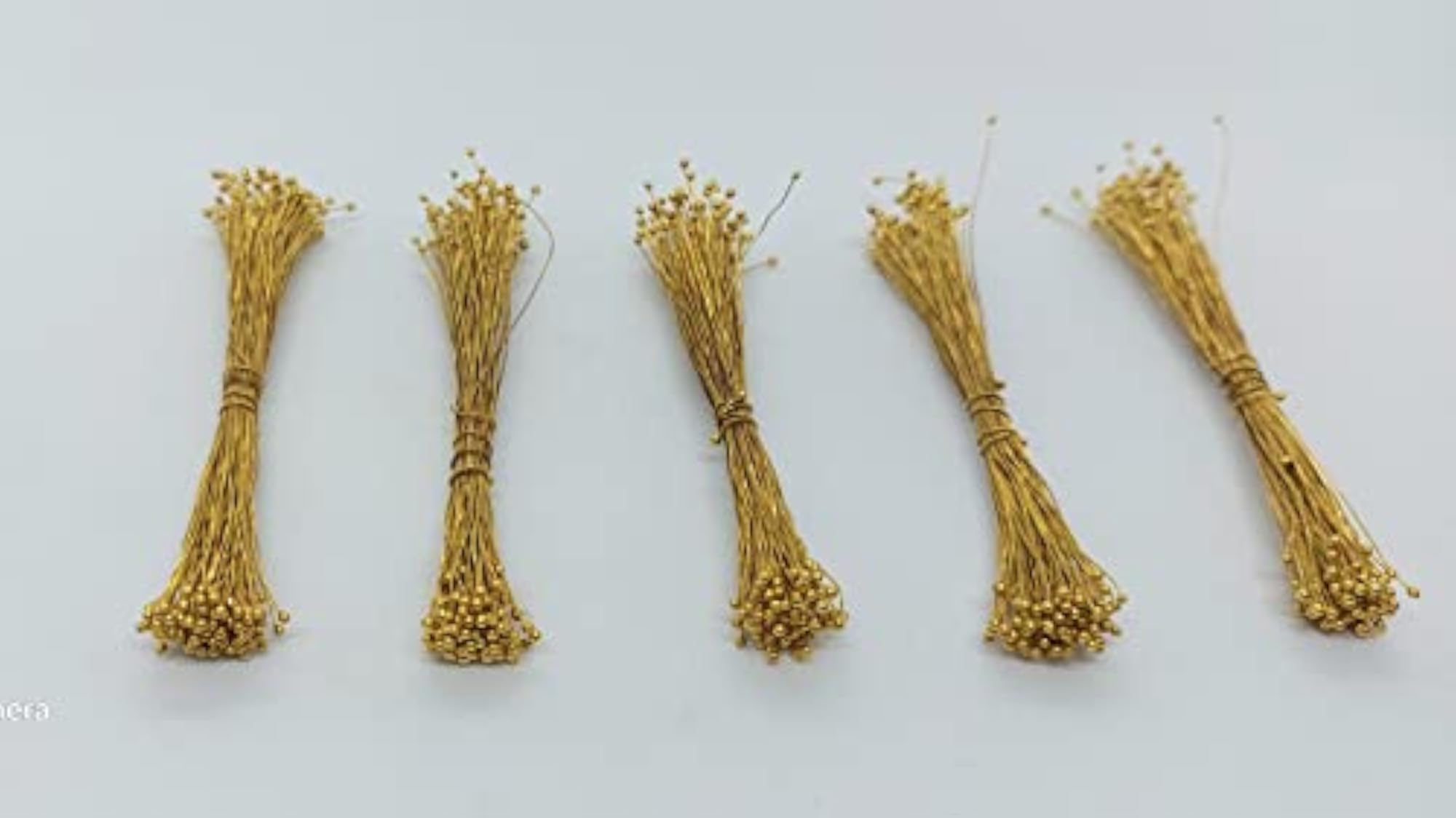 img_8155574