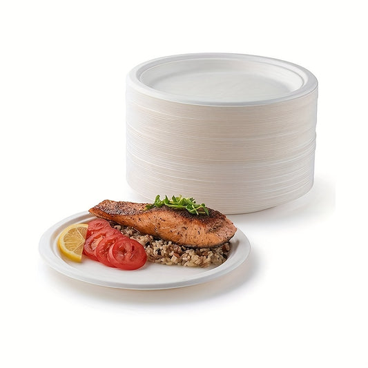 100pcs Sugarcane Bagasse Plates - Eco Friendly Biodegradable Paper Plates