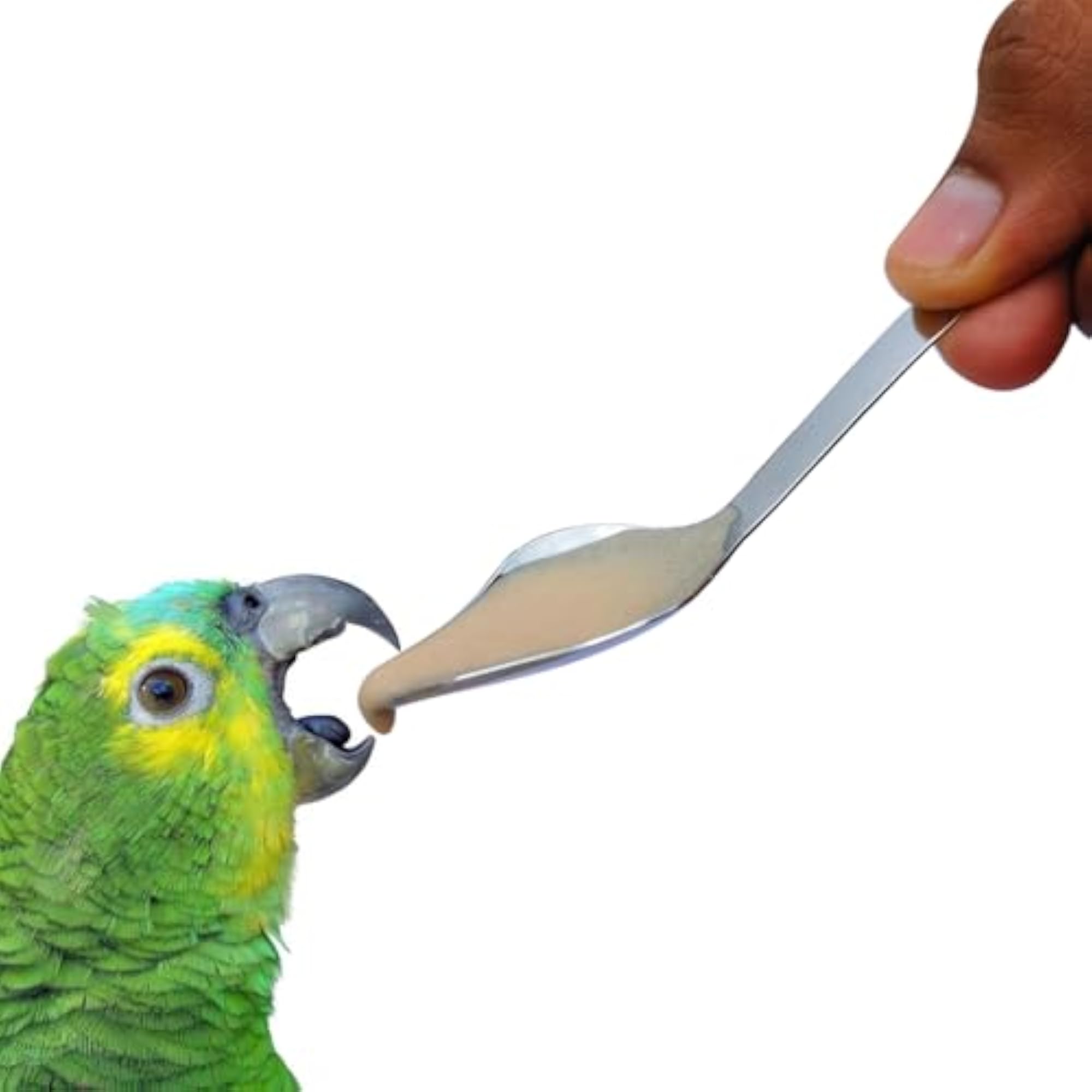 img_11781894
