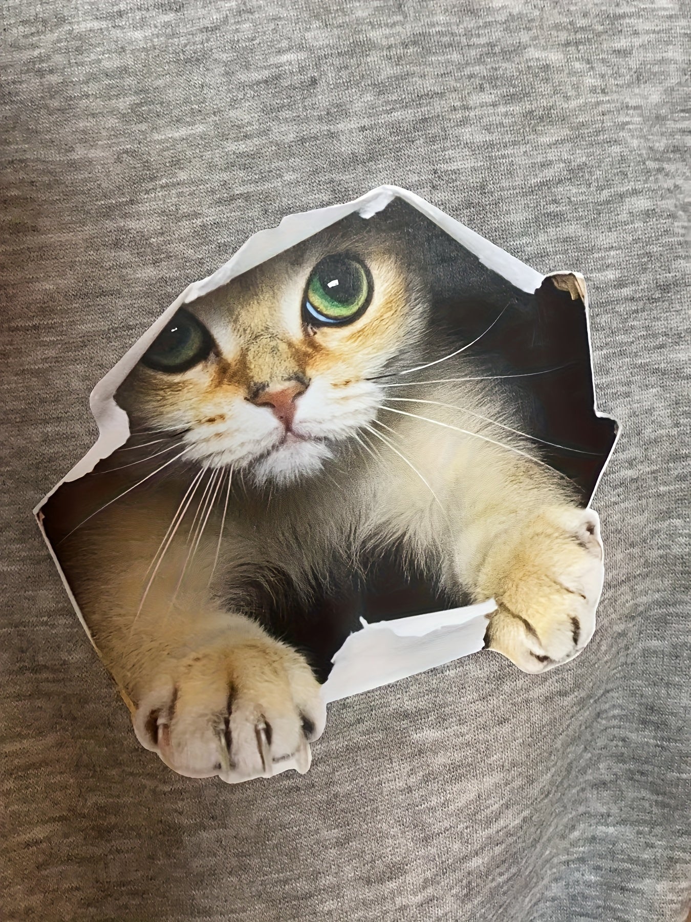 Women's Plus 3D Cat Print Drawstring Elastic Fleece Jogger Pants