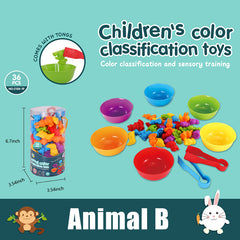 Rainbow Matching Game Animal Cognition Montessori Toy