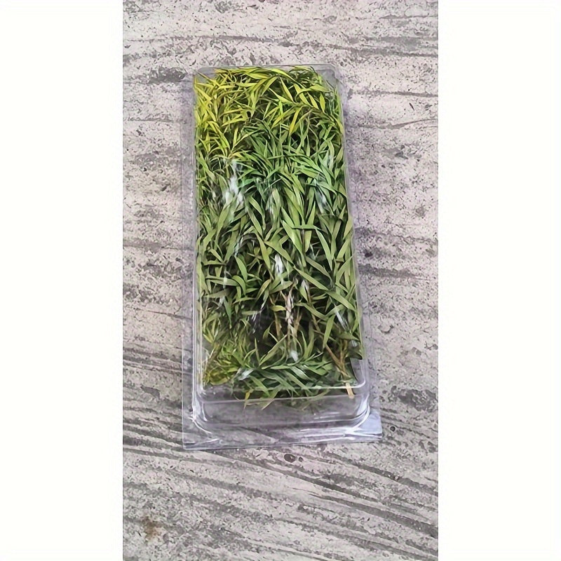Simulated Long Leaved Vegetation Box with Reed Grass for Sand Table Models