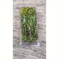 Simulated Long Leaved Vegetation Box with Reed Grass for Sand Table Models