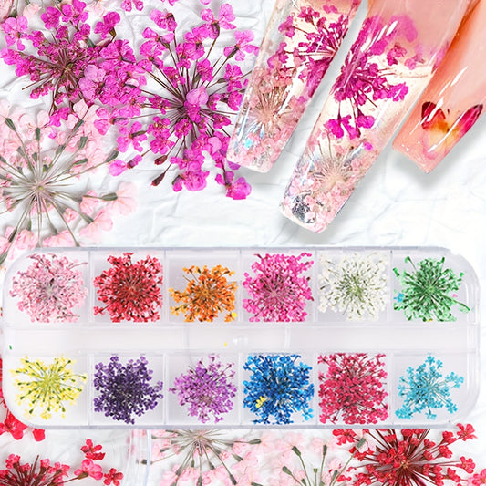 Dried Flowers Nail Art Decorations Natural Floral Plant Non F