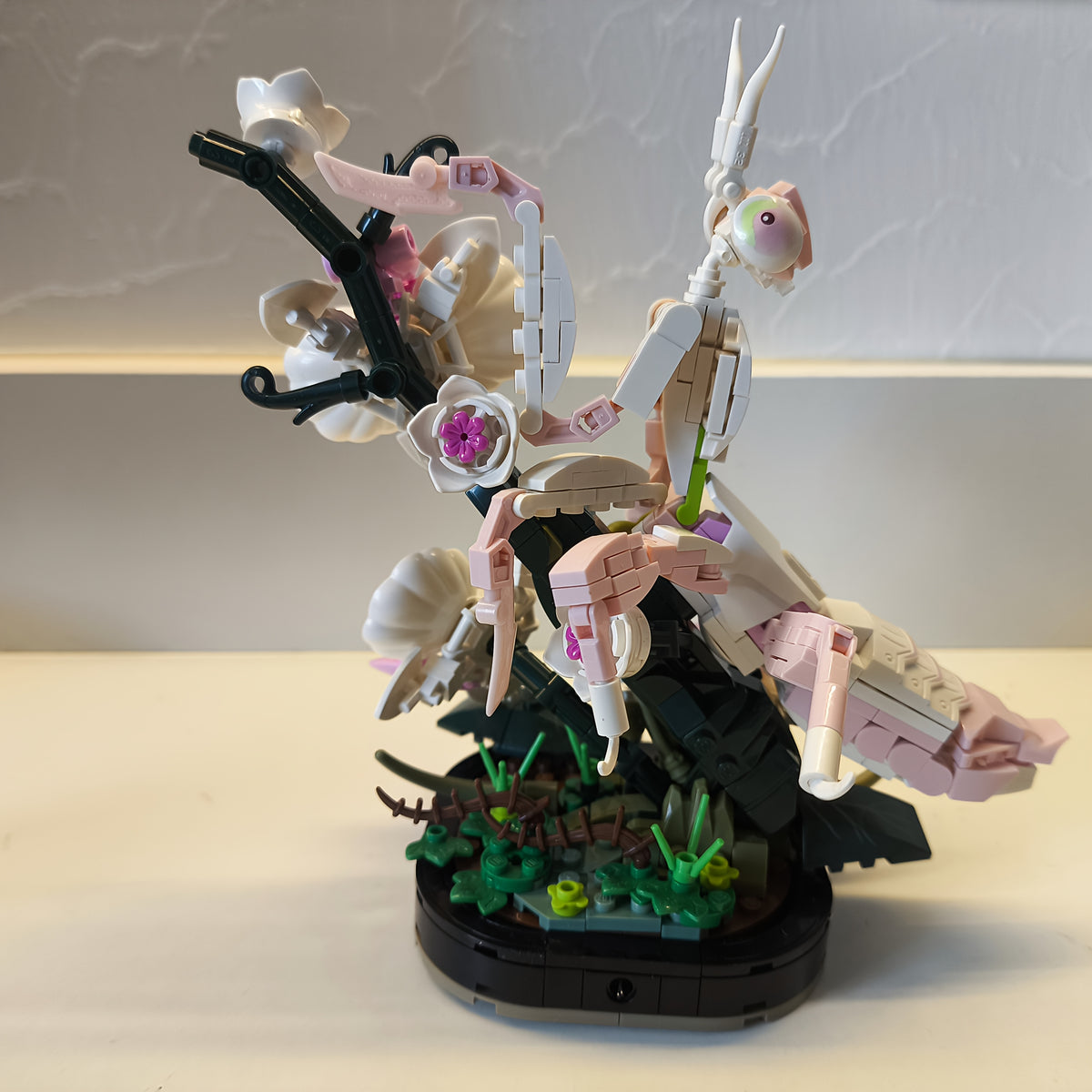 img_4580973