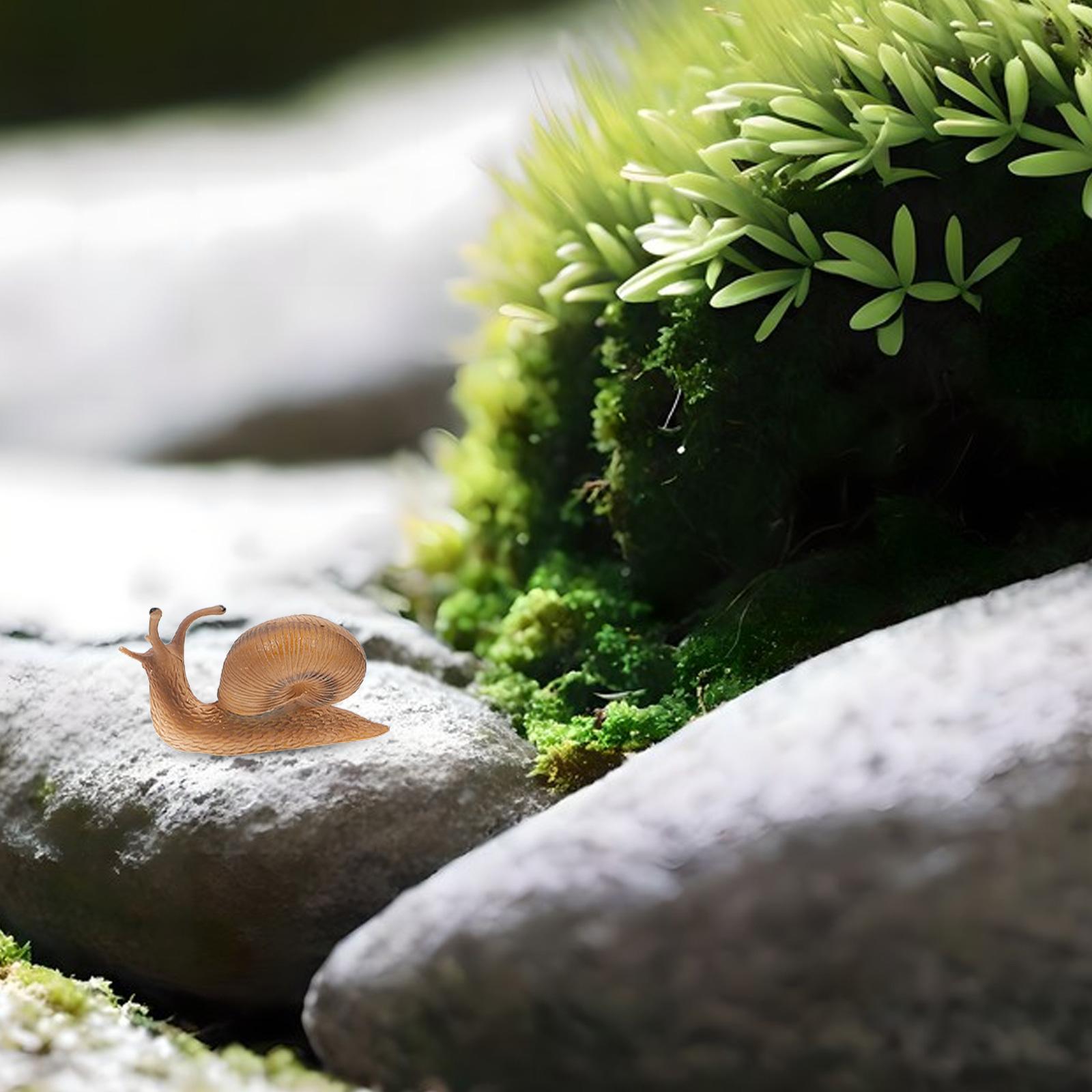 Crawler Animal Snail Landscape Disc Ornament Toy